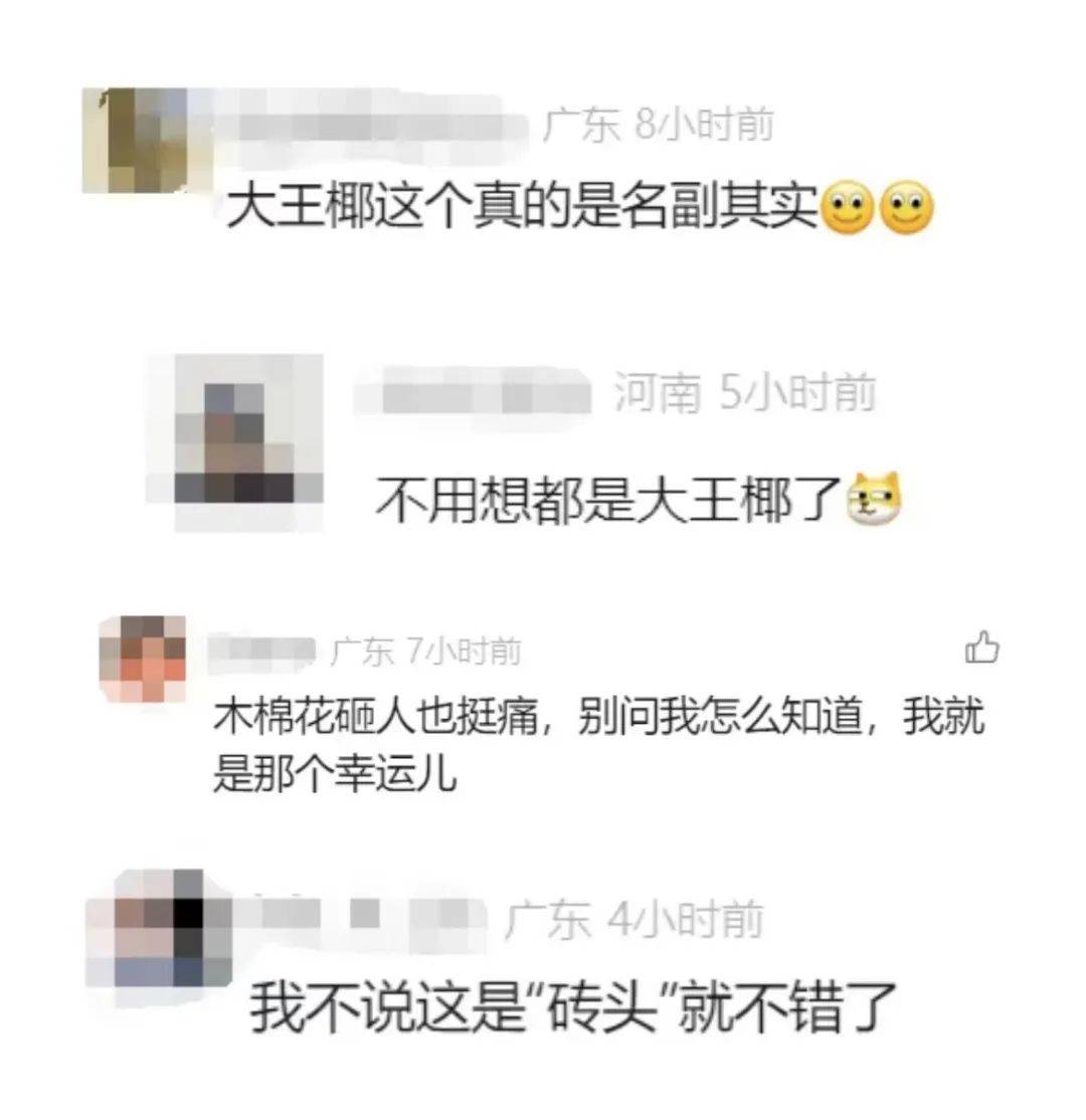 一男子被树叶砸骨折！获赔2.2万元，网友：就知道是它…