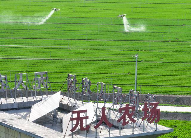 年终报道·砥砺2024丨顶风破浪，中国经济奋力向前