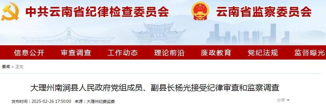 大理州南涧县副县长杨光涉嫌严重违纪违法，主动投案