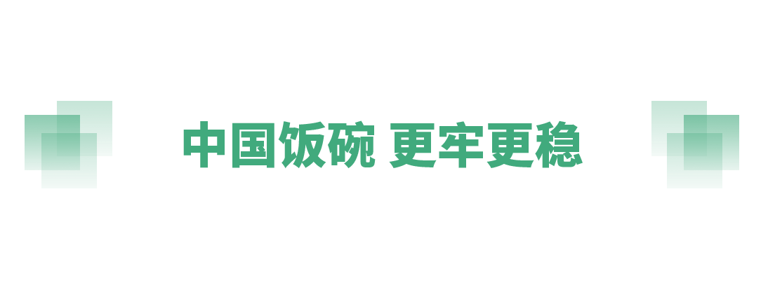 奋进的春天丨不负春时农桑忙
