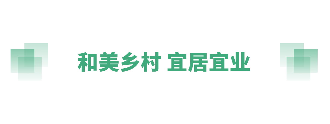 奋进的春天丨不负春时农桑忙