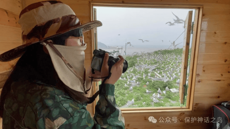 最有诗意的工作？浙江一鸟类研究组织300元/天招监测员：需在海岛两人一组生活两个月