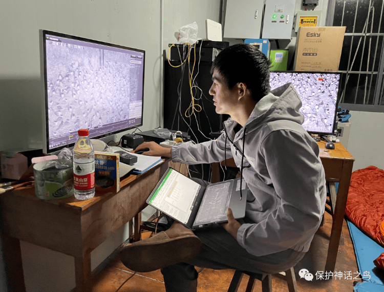 最有诗意的工作？浙江一鸟类研究组织300元/天招监测员：需在海岛两人一组生活两个月