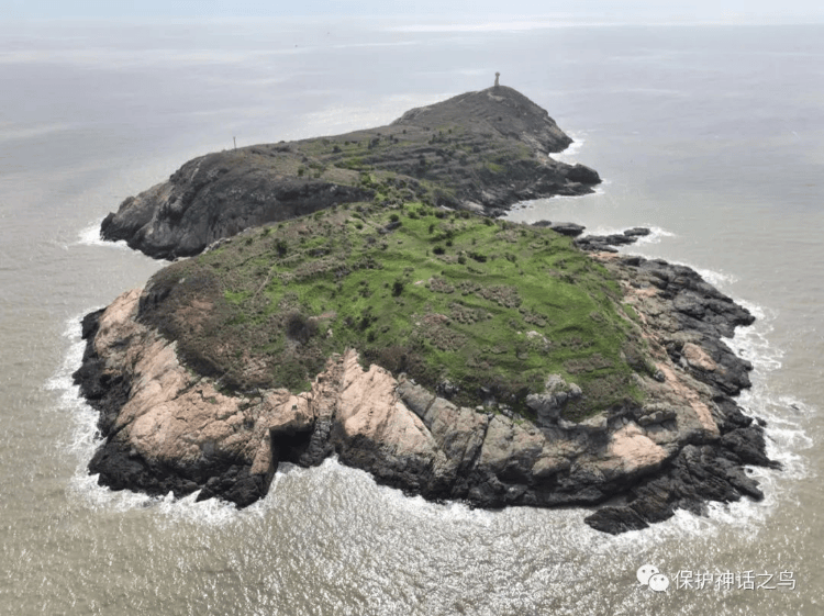 最有诗意的工作？浙江一鸟类研究组织300元/天招监测员：需在海岛两人一组生活两个月