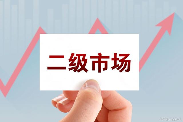 可以发行证券(可以发行证券的券商)