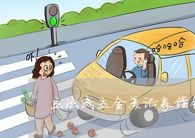 证券立法(证券立法的基本原则)