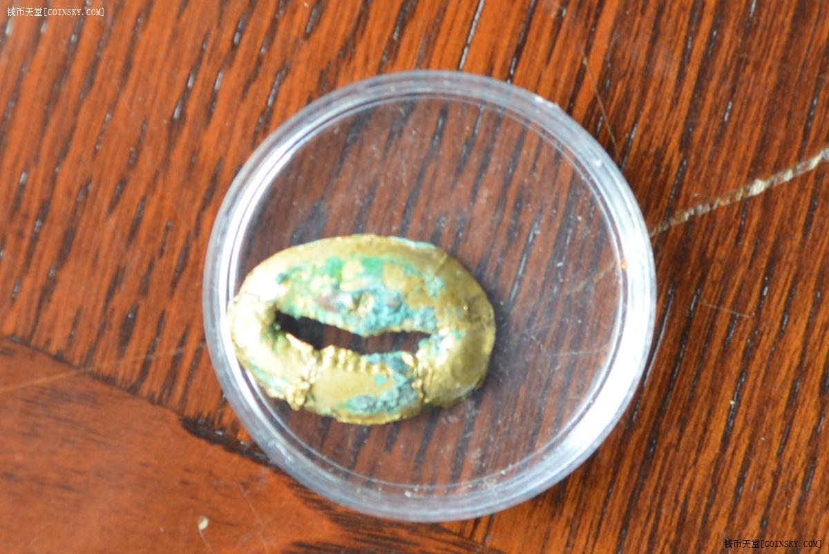金贝币(金贝币一枚的价格多少钱)
