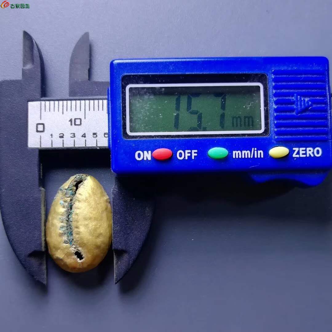 金贝币(金贝币一枚的价格多少钱)