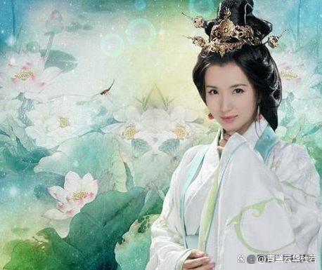 币月羞花(花羞月产品怎么样)