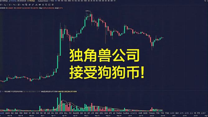 币狗行情(狗币行情暴跌)