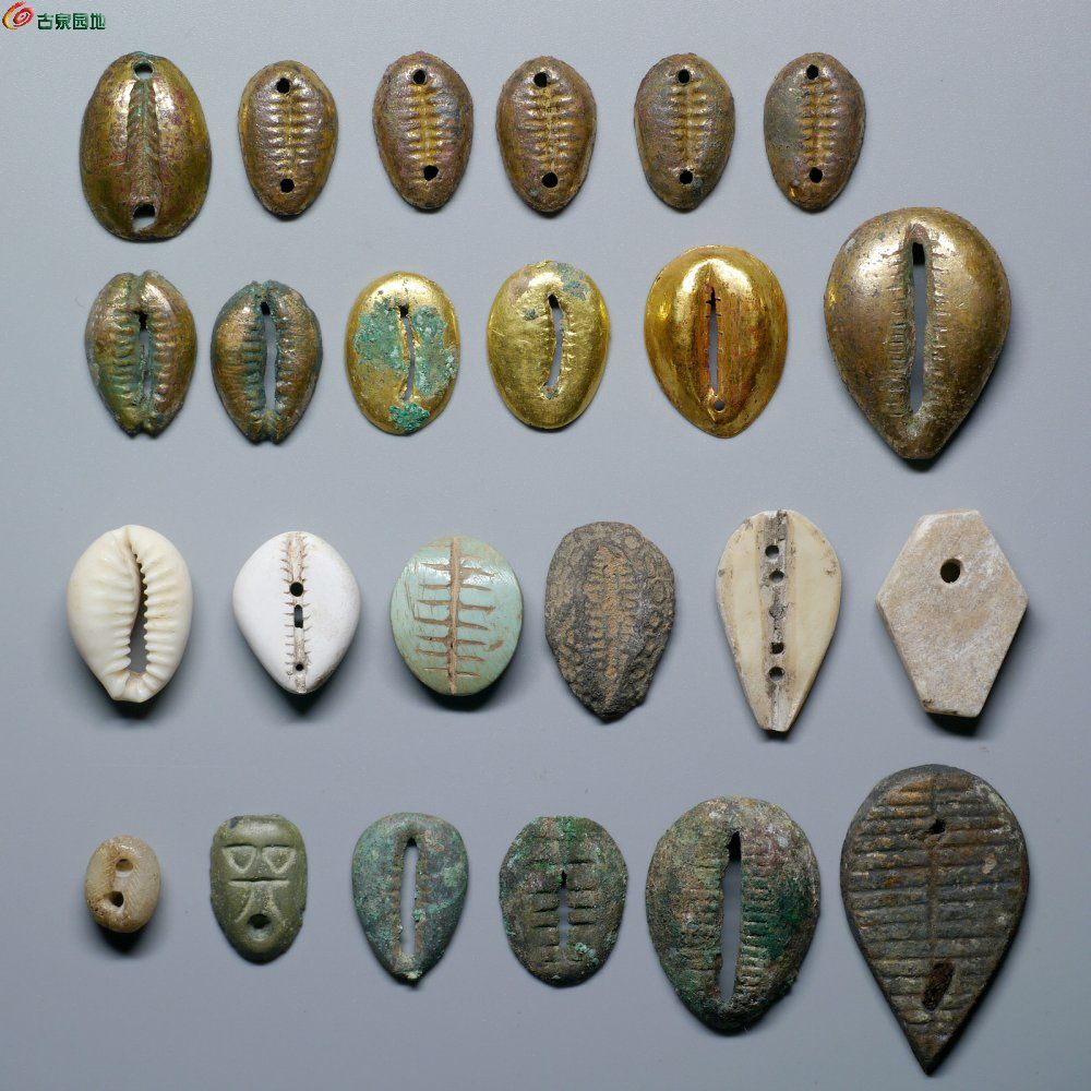 金贝币(金贝币价值多少钱)