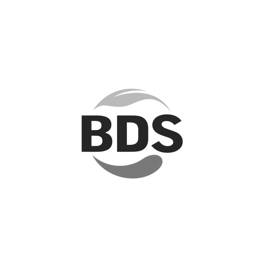 bds币(BDS币完了吗)
