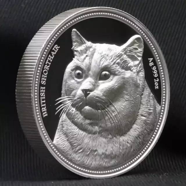 币猫(币猫官网)