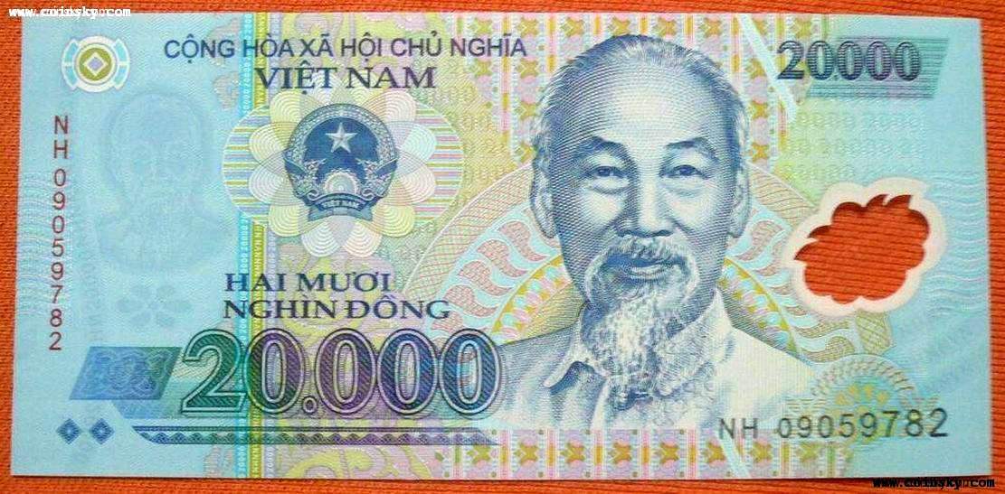 洛奇币(洛奇币再哪里看)