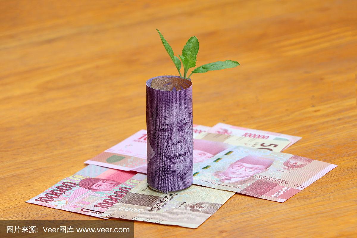 币万(币万app官网下载)