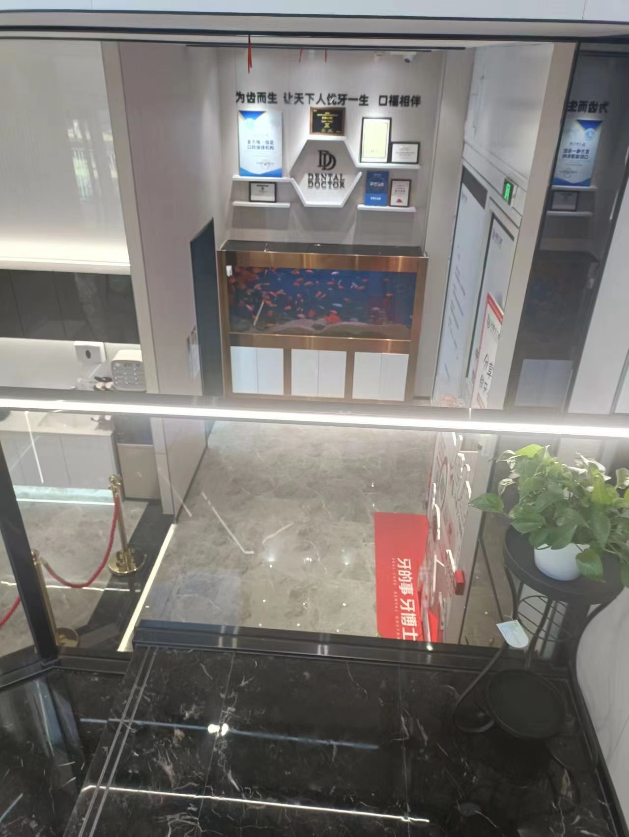 w币(pepe币)